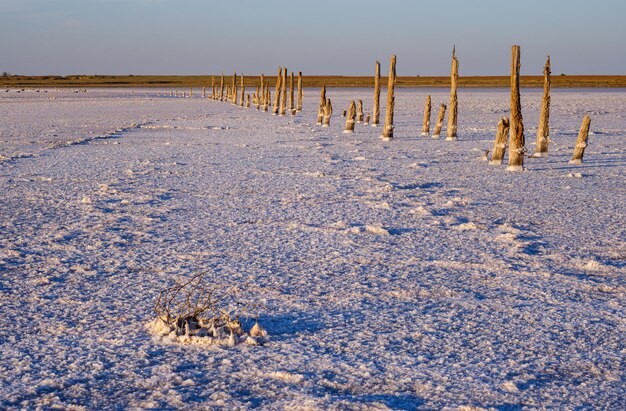 サンセット ジェニチェスク ピンクの塩辛い湖 ウクライナ