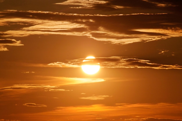 黄金色の夕日