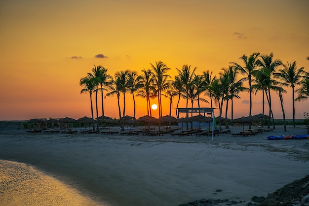 Sunset at Hawana Beach in Salalah Oman with palm trees