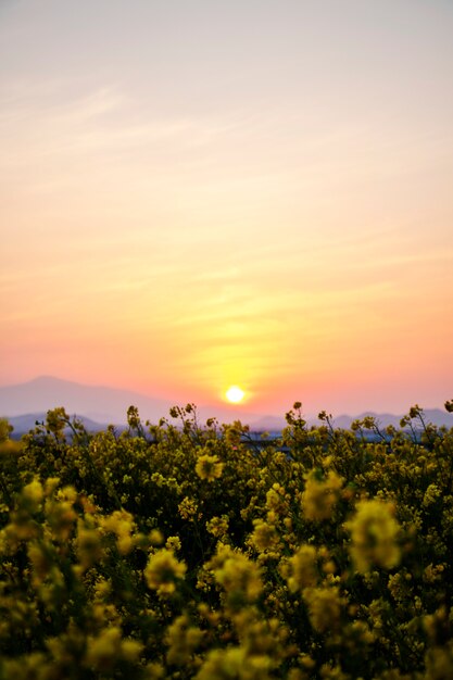 Sunset horizon sea water landscape