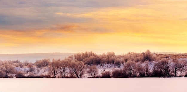 Закат зимой у реки заснеженные деревья на берегу реки на закате зимний пейзаж