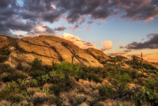 Sunset over Javelina Rocks in Saguaro National Park Arizona