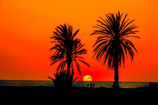 Photo sunset on kherkena island in sfax