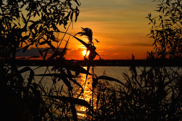 Tramonto sul lago durante l'estate