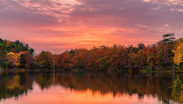 Sunset over the lake evening view HD