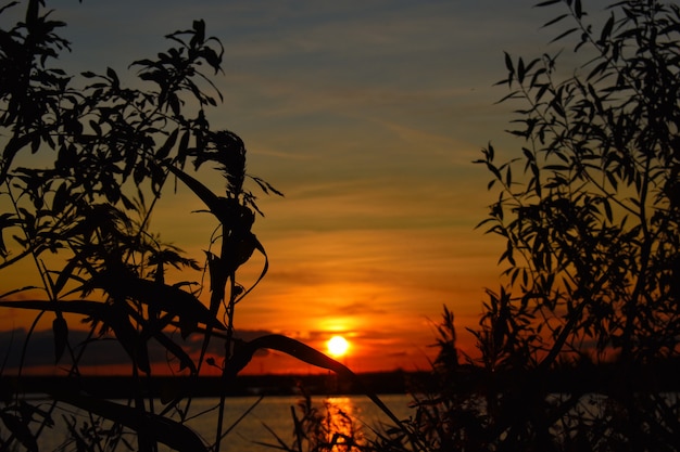 Sunset on the lake during summer