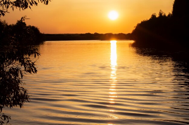 木々の間の湖に沈む夕日