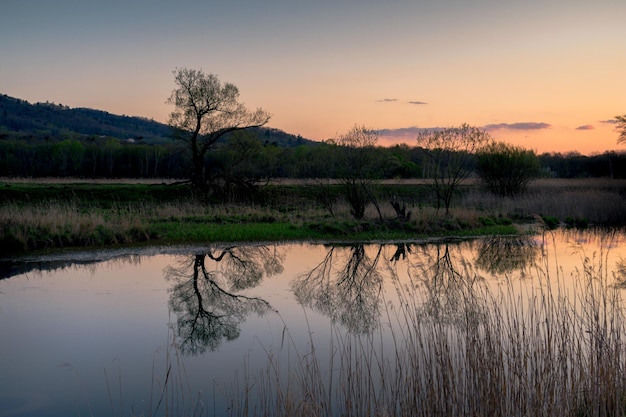 湖のほとりに若い緑の草と水に反射する木々に沈む夕日