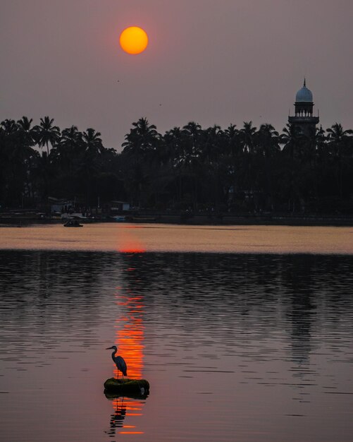 Photo sunset at lake