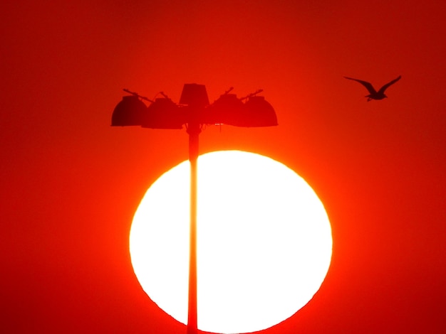 Foto il tramonto dietro un lampione