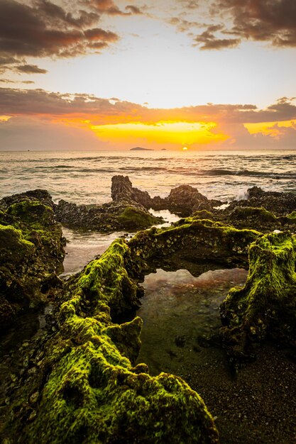 Sunset landscape on the beach rocks in foreground