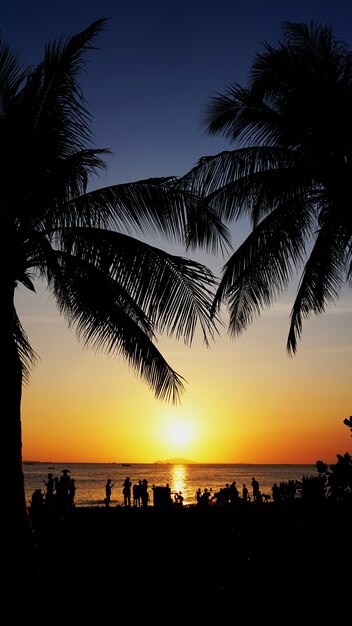 Paesaggio al tramonto. tramonto sulla spiaggia. sagoma di palme sulla spiaggia tropicale al tramonto, cina