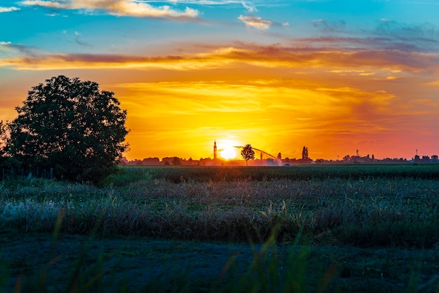 Sunset in a landscape with bell tower, trees and countryside