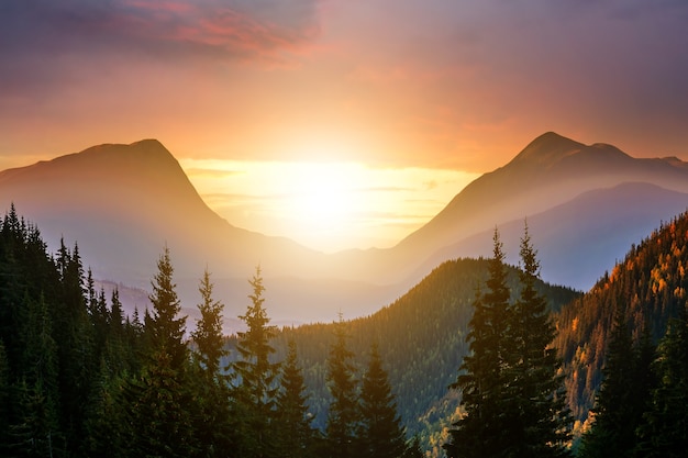 Photo sunset landscape with high peaks and foggy valley with autumn spruce forest under vibrant colorful evening sky in rocky mountains.