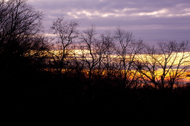 Sunset landscape