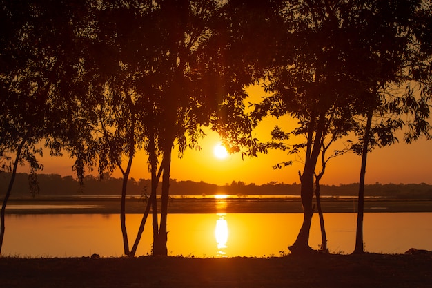 Sunset light rays piercing through the trees on the lake