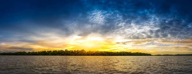 Sunset and mangrove forest at coast