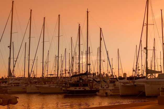 Sunset in the marina of valencia