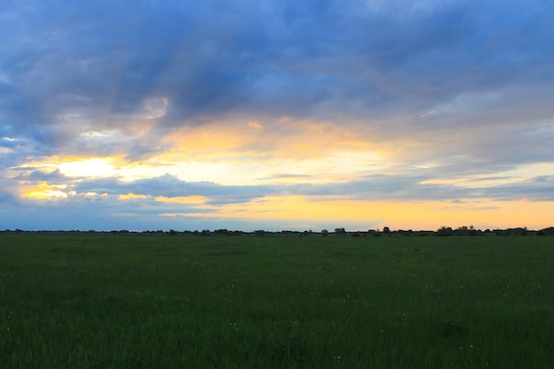 牧草地に沈む夕日