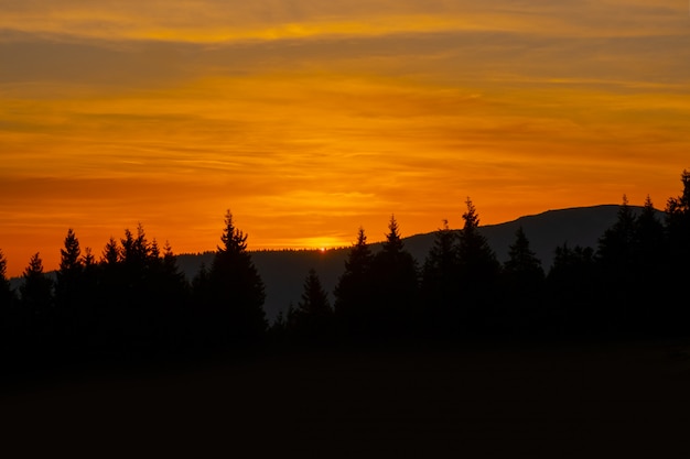 Foschia arancione giallo-chiaro della nebbia del fumo dell'albero delle nuvole del sole blu di autunno del cielo della montagna di tramonto