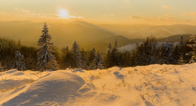 Sunset in Mountains Winer Landscape Pine Trees Covered with Fresh Snow Horizontal Copy Space