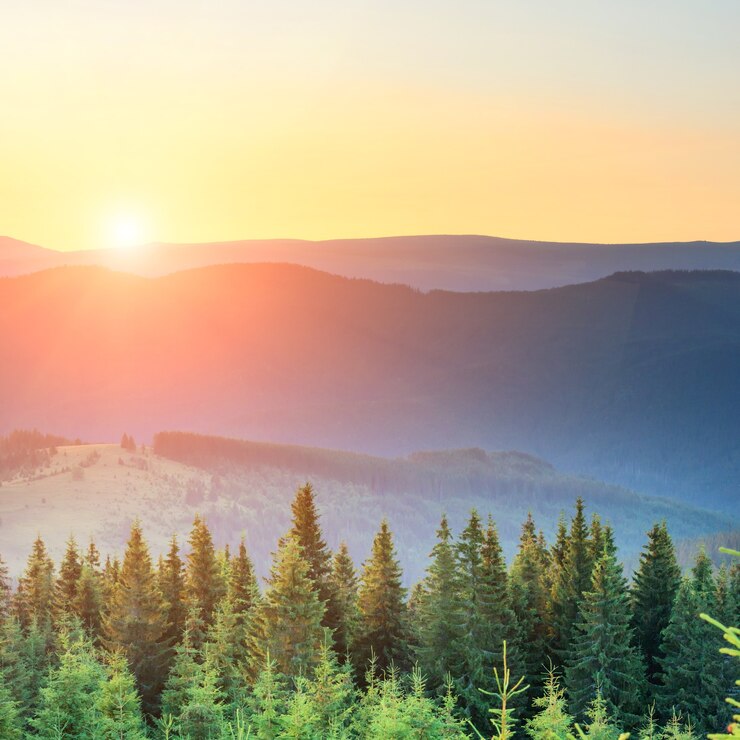 Sunset in the mountains with forest and big shining sun