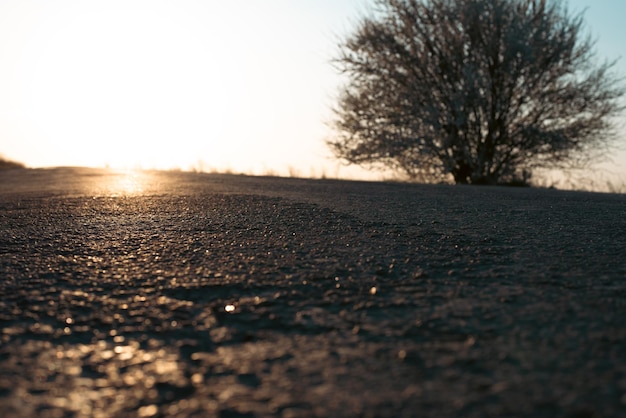 写真 道路の夕暮れ