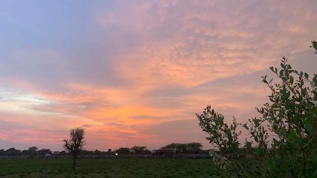 夕日のオレンジ色の空美しい写真