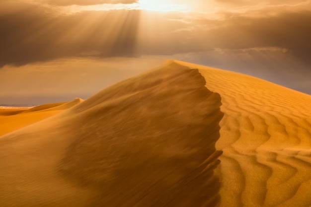 写真 砂漠の砂丘に沈む夕日サハラ砂漠の乾燥した風景