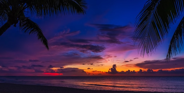 Sunset and palms - nature background.