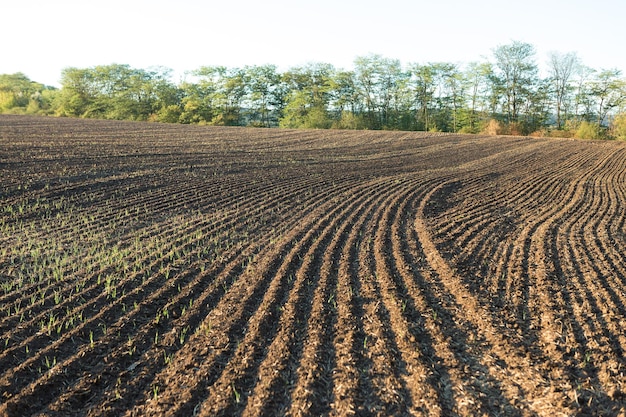 Sunset over a plowed field with brown soil Beautiful autumn landscape