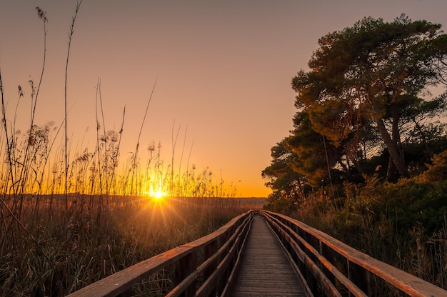 Sunset at the pond in sardinia