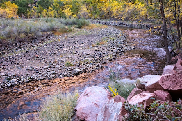 Sunset Reflecting in the Virgin River