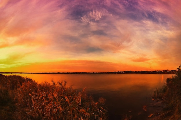 Sunset on the river bank with reeds pinkyellow clouds Illustration