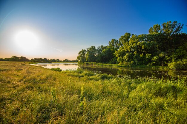 Sunset over the river Landscape with large green trees and a river against the blue sky with sun