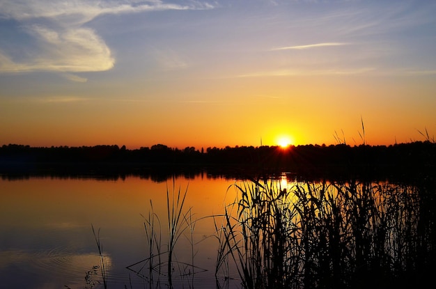 Sunset on the river in summer