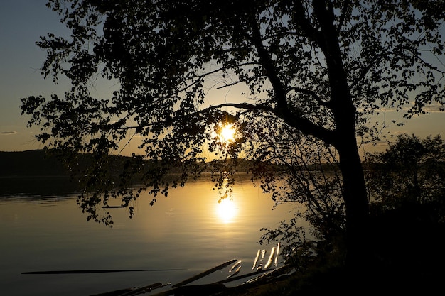 Sunset on the river through the trees