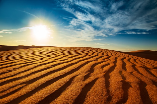 Sunset in the Sahara desert. 