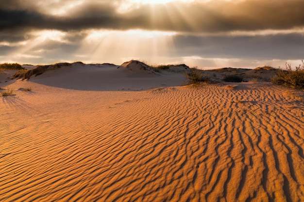 Sunset over the sand dunes in the desert Arid landscape of the Sahara desert