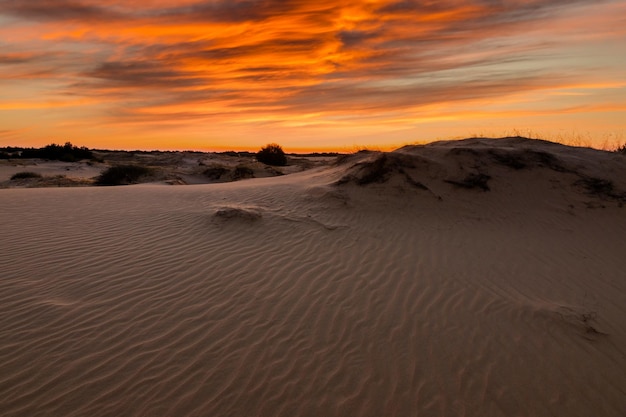 Sunset over the sand dunes in the desert Arid landscape of the Sahara desert