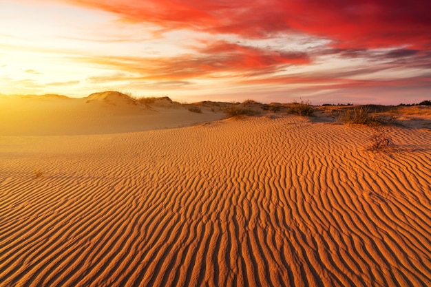 Sunset over the sand dunes in the desert Arid landscape of the Sahara desert