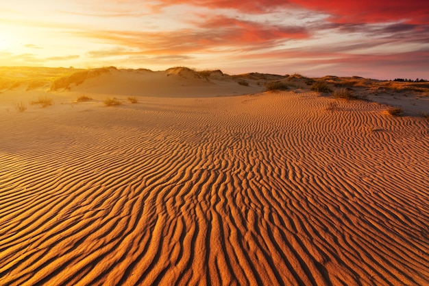 Sunset over the sand dunes in the desert Arid landscape of the Sahara desert