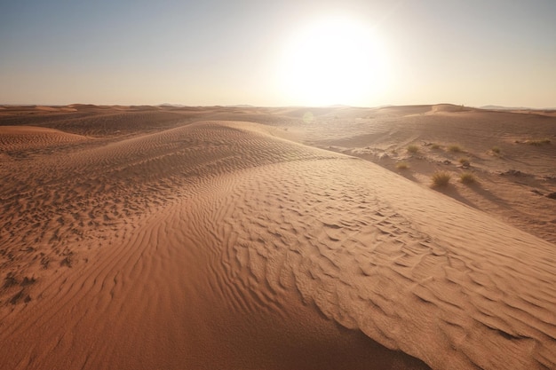 Sunset over the sand dunes in the desert