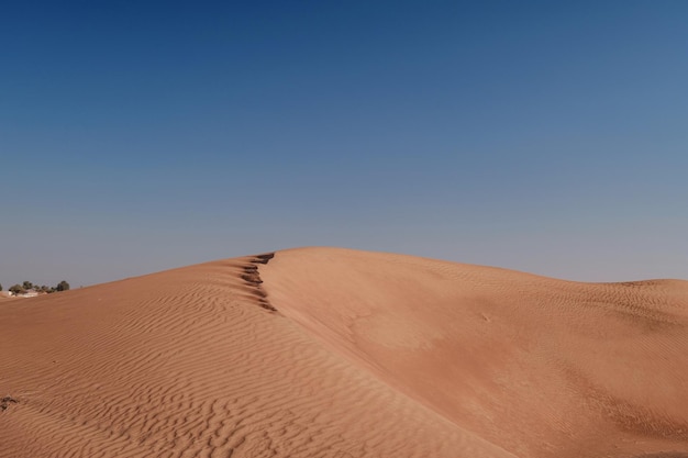 Sunset over the sand dunes in the desert