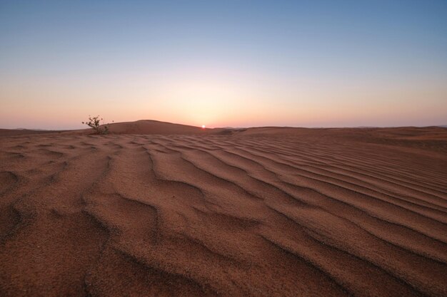 Sunset over the sand dunes in the desert