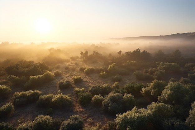 Sunset over sand dunes in the morning Landscape