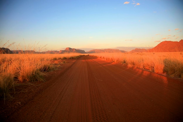 Sunset and sandy road going to a farm in Namibia