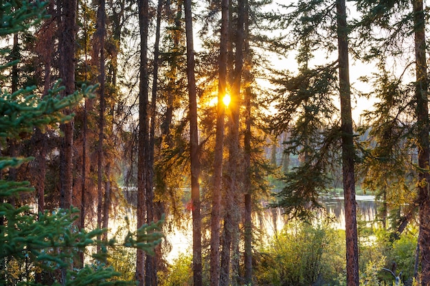 Sunset scene on the lake at sunset