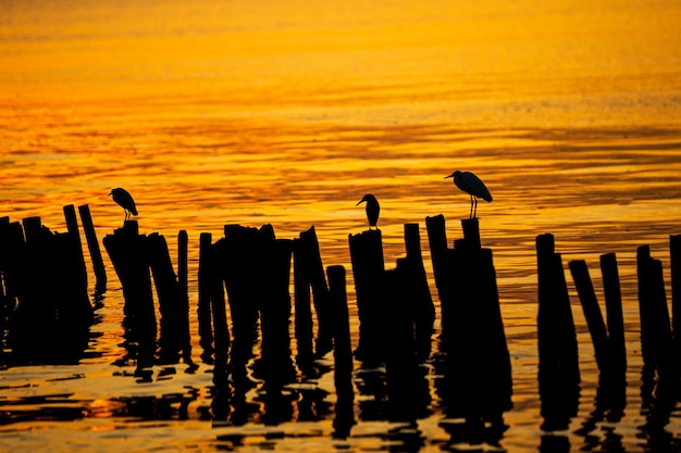 Sunset at the sea Bangpu Recreation Center