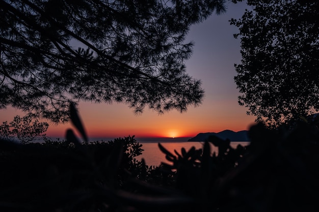 前景の夕暮れの山と木の海のシルエットに沈む夕日